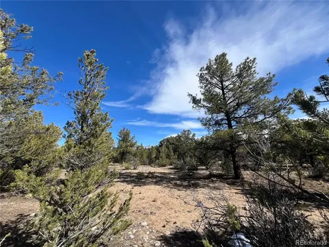 29274 Lakota Lane Buena Vista CO 81211