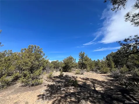29274 Lakota Lane Buena Vista CO 81211