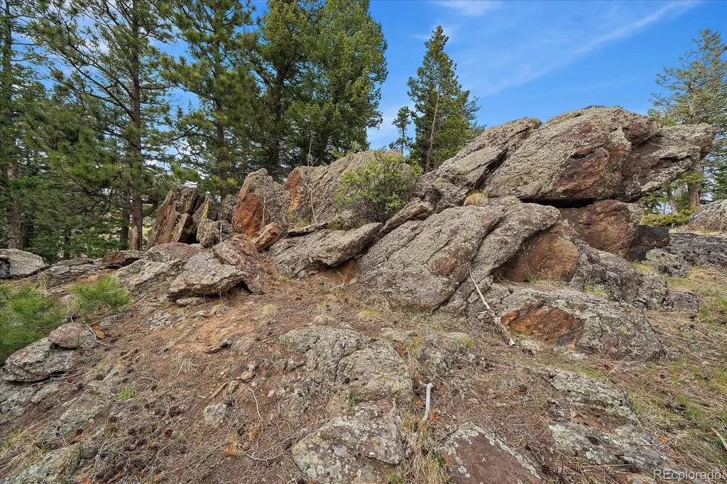81 Raccoon Circle Evergreen CO 80439