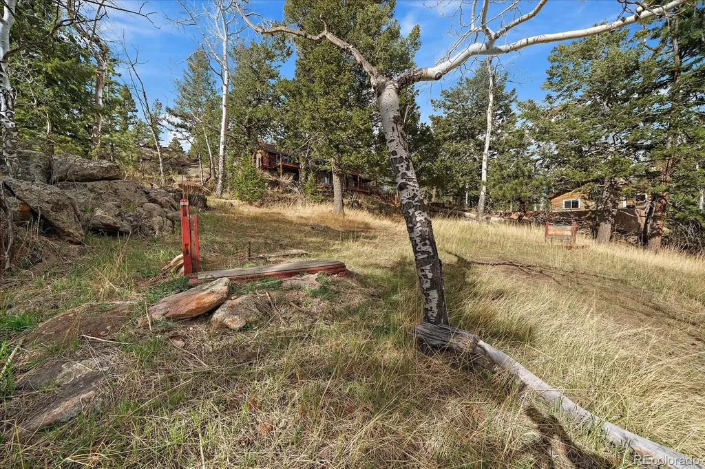 81 Raccoon Circle Evergreen CO 80439