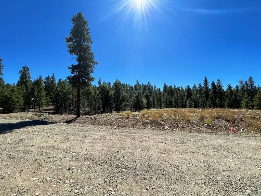 451 Virginia Avenue Leadville CO 80461