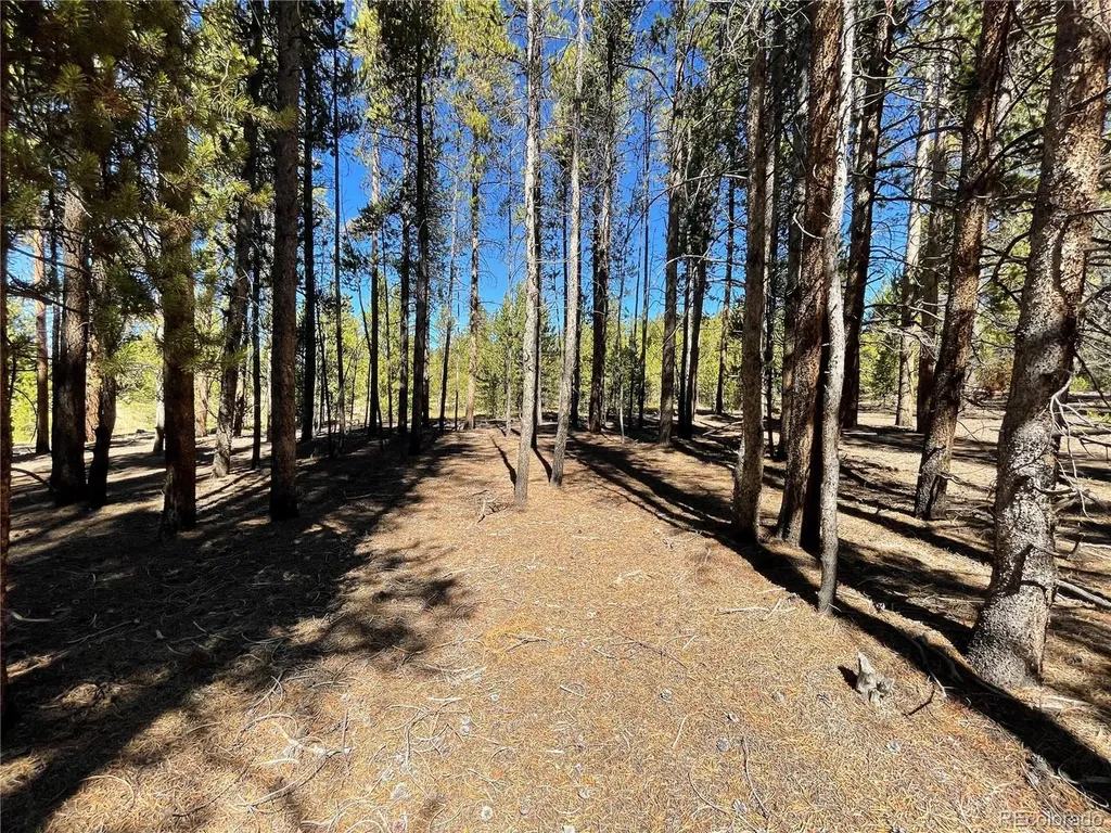451 Virginia Avenue Leadville CO 80461