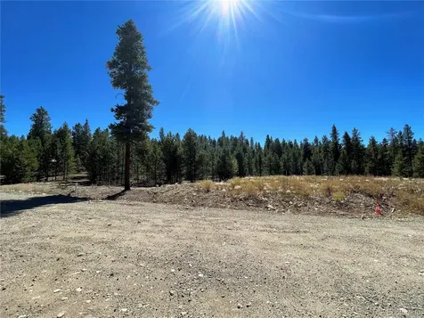 451 Virginia Avenue Leadville CO 80461
