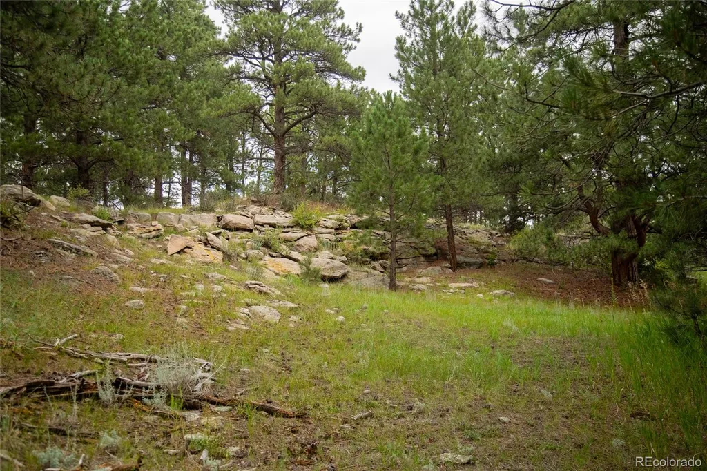 11503 E Smith Road Elbert CO 80106