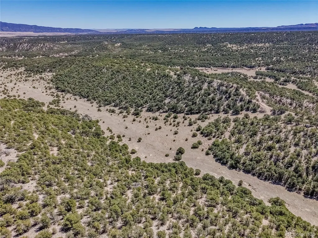 Lot 204 Colorado Land & Grazing Gardner CO 81040