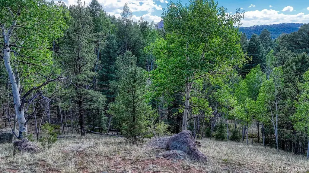 783 Bennett Drive Cripple Creek CO 80813