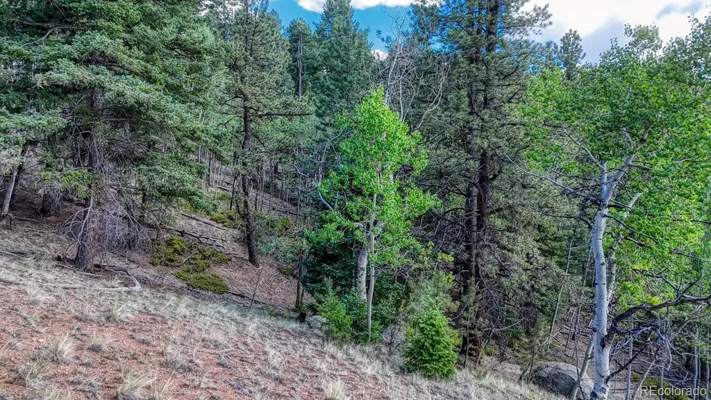 783 Bennett Drive Cripple Creek CO 80813