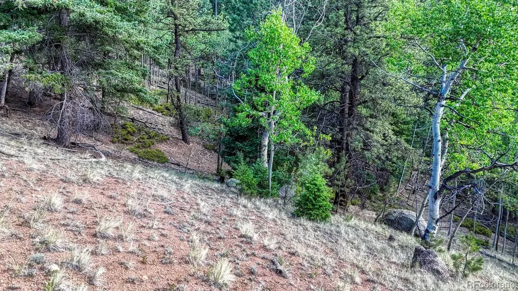 783 Bennett Drive Cripple Creek CO 80813