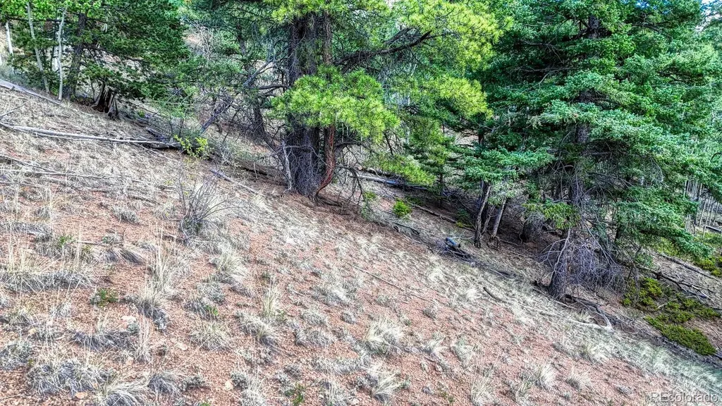 783 Bennett Drive Cripple Creek CO 80813