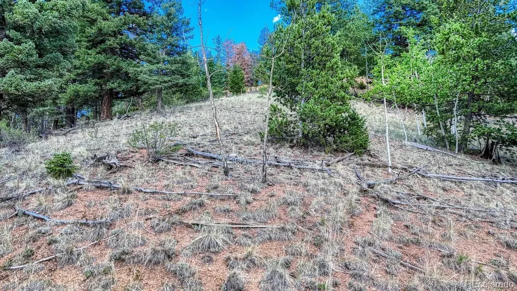783 Bennett Drive Cripple Creek CO 80813