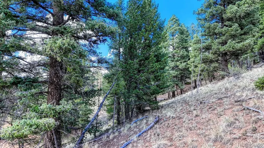 783 Bennett Drive Cripple Creek CO 80813