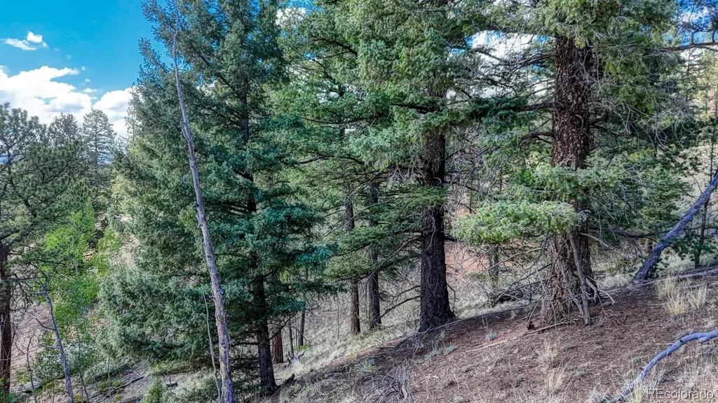 783 Bennett Drive Cripple Creek CO 80813