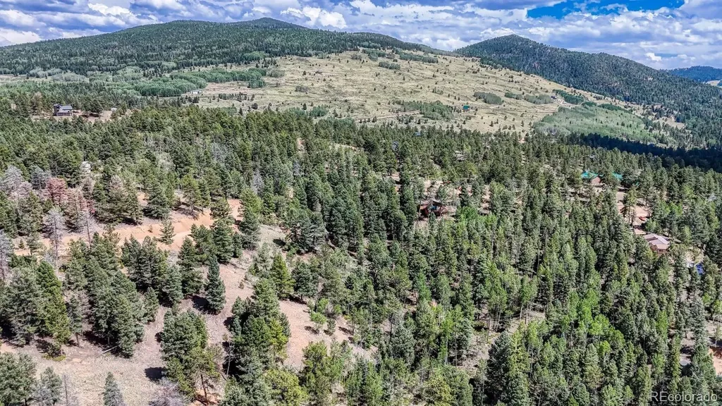 783 Bennett Drive Cripple Creek CO 80813
