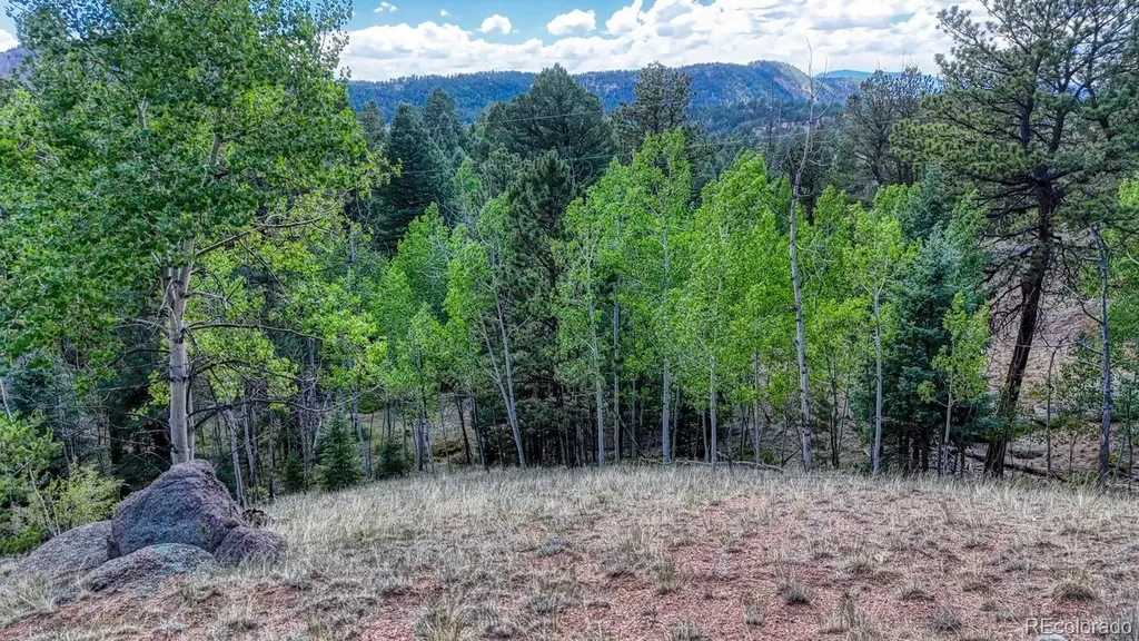 783 Bennett Drive Cripple Creek CO 80813