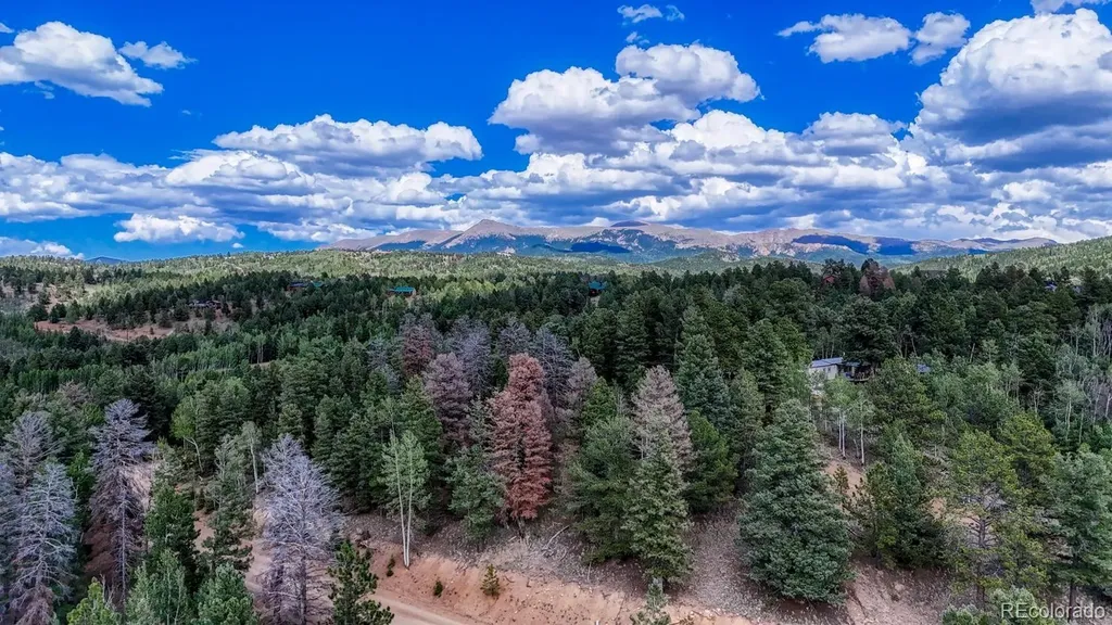 783 Bennett Drive Cripple Creek CO 80813