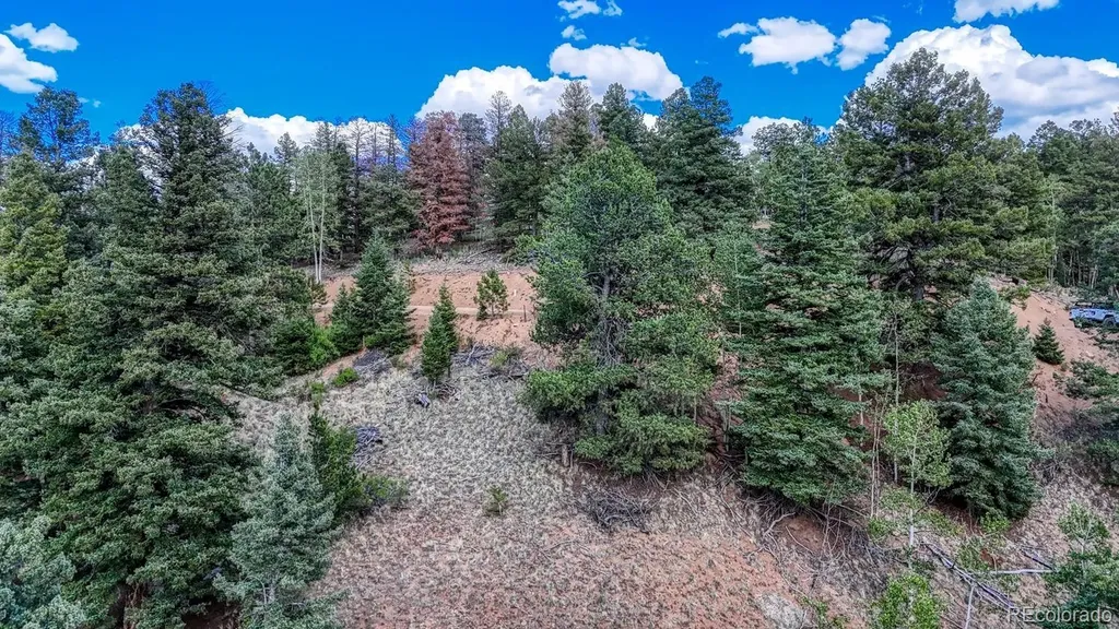 783 Bennett Drive Cripple Creek CO 80813