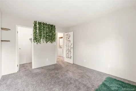 532 Oakwood Drive Castle Rock CO 80104