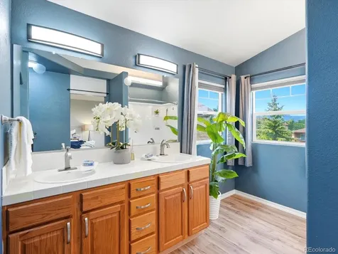 9959 Rose Leaf Court Colorado Springs CO 80920