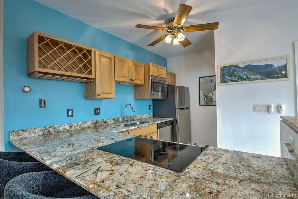 91500 Ryan Gulch Road Silverthorne CO 80498
