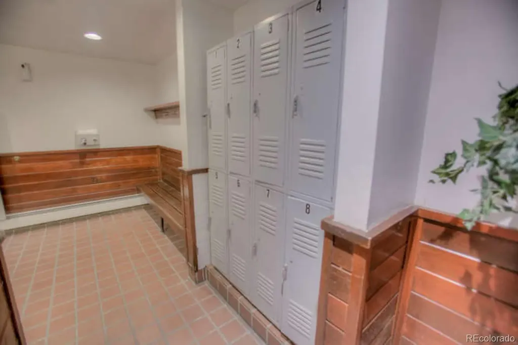 91500 Ryan Gulch Road Silverthorne CO 80498