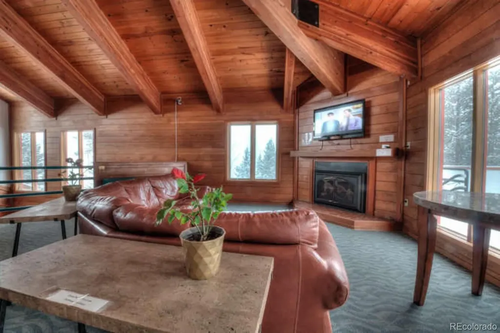 91500 Ryan Gulch Road Silverthorne CO 80498
