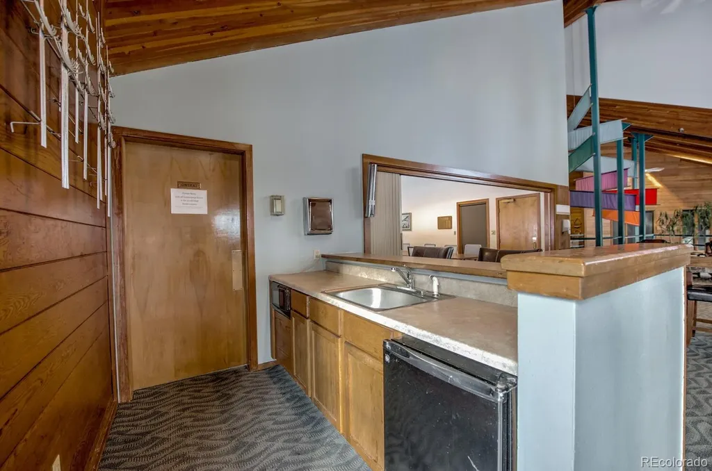 91500 Ryan Gulch Road Silverthorne CO 80498