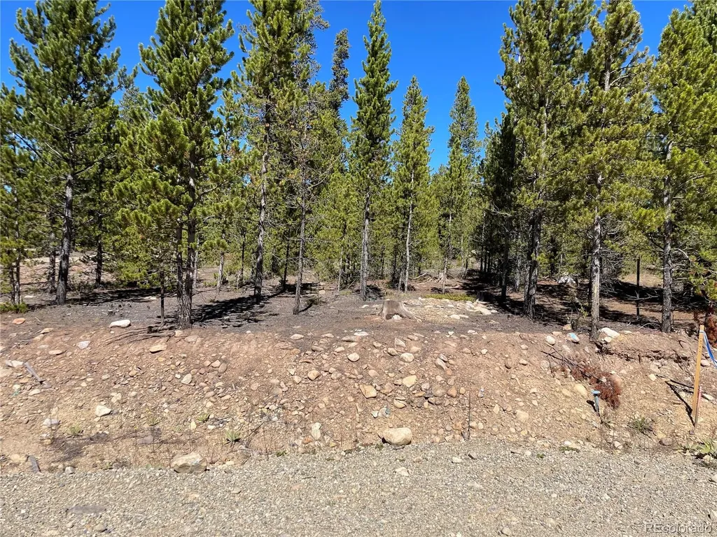 500 Virginia Avenue Leadville CO 80461