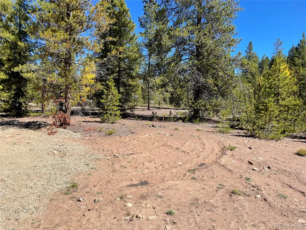 500 Virginia Avenue Leadville CO 80461
