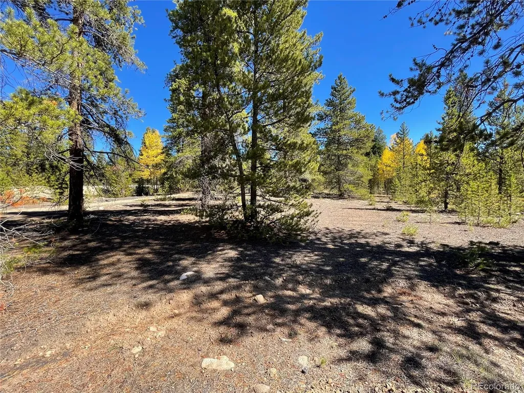 500 Virginia Avenue Leadville CO 80461
