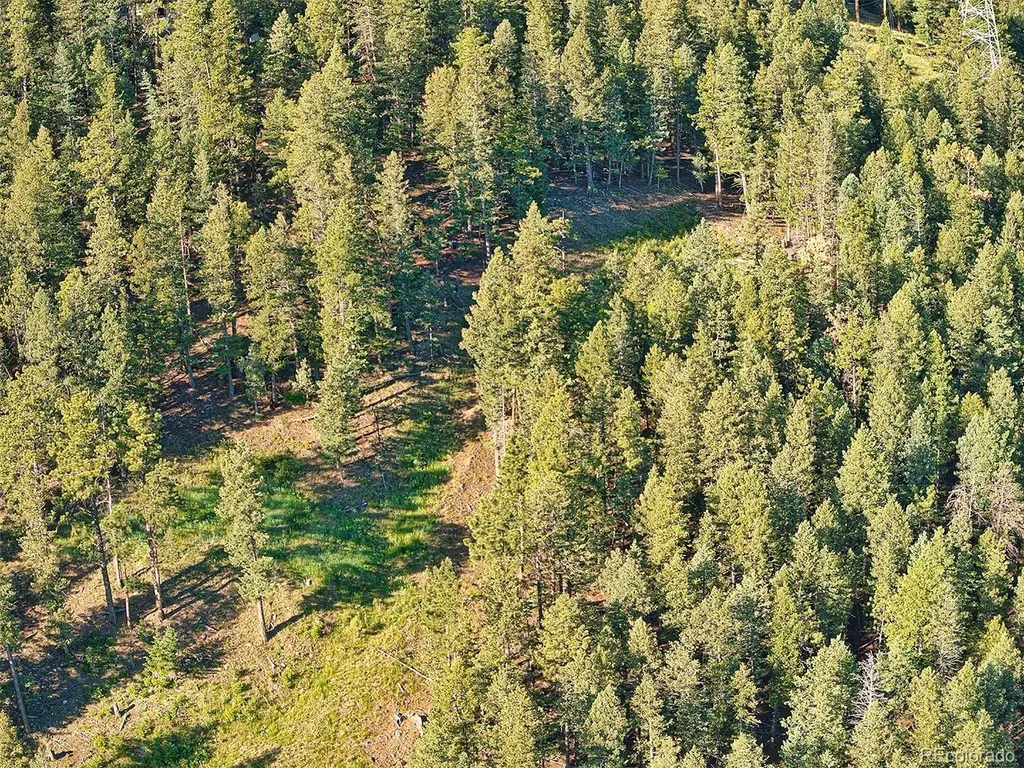900 Elk Valley Drive Evergreen CO 80439