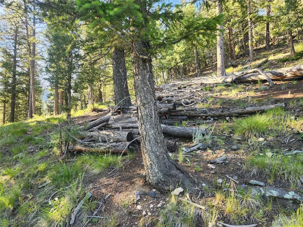 900 Elk Valley Drive Evergreen CO 80439