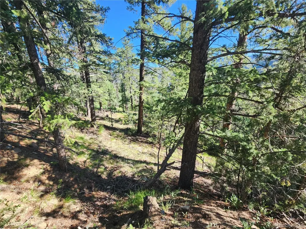 900 Elk Valley Drive Evergreen CO 80439