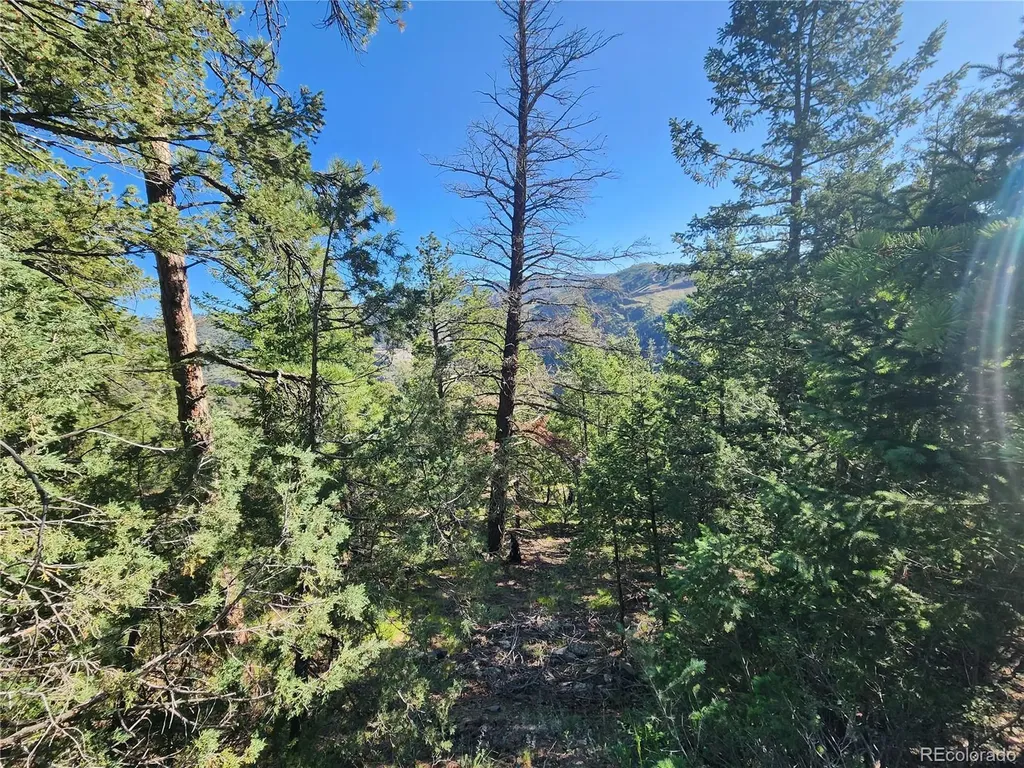 900 Elk Valley Drive Evergreen CO 80439