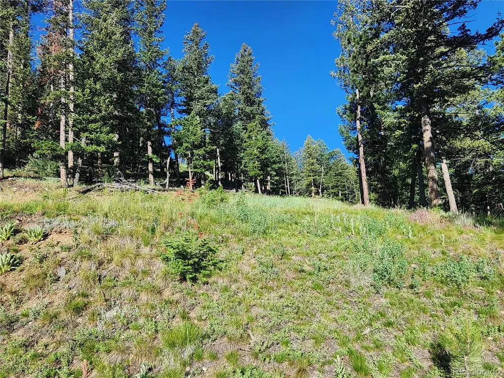 900 Elk Valley Drive Evergreen CO 80439