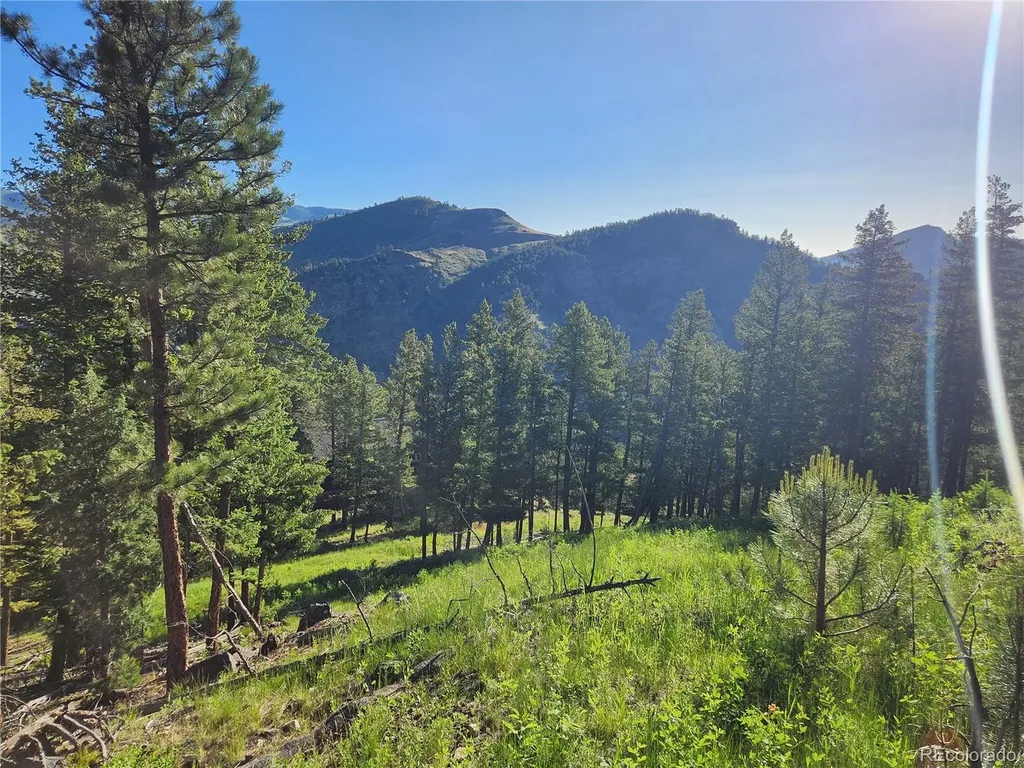 900 Elk Valley Drive Evergreen CO 80439