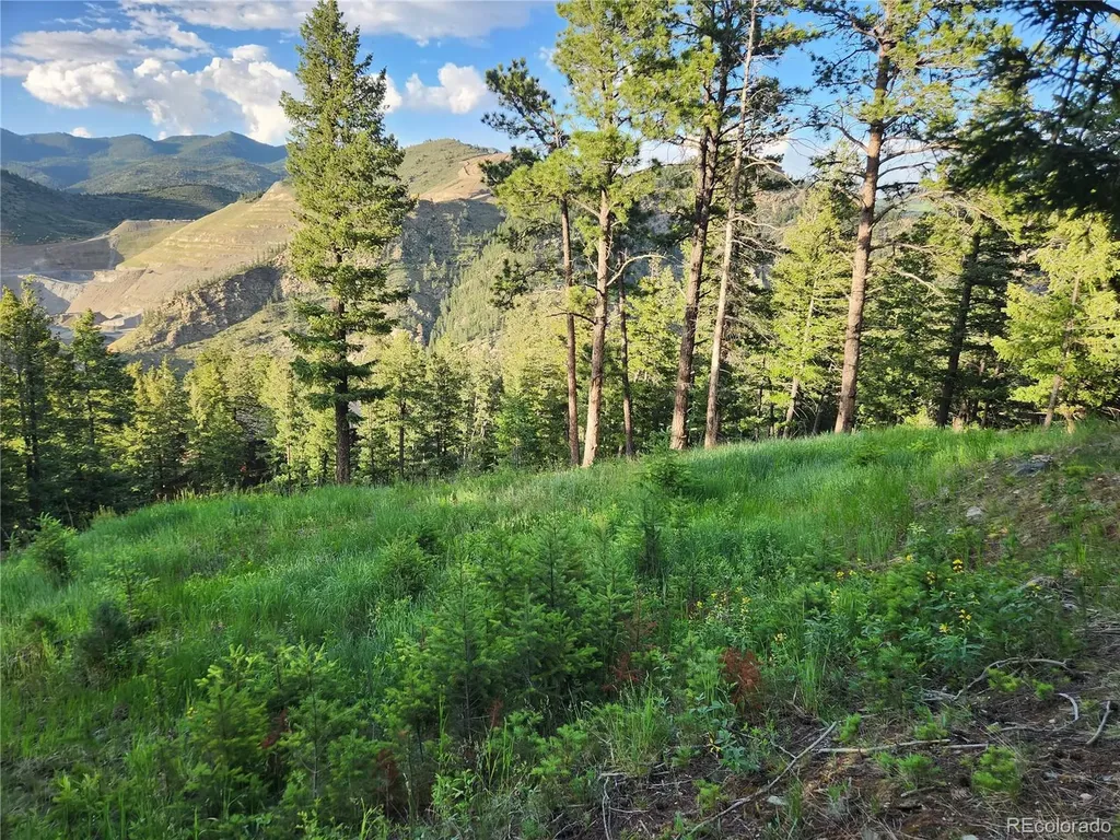 900 Elk Valley Drive Evergreen CO 80439