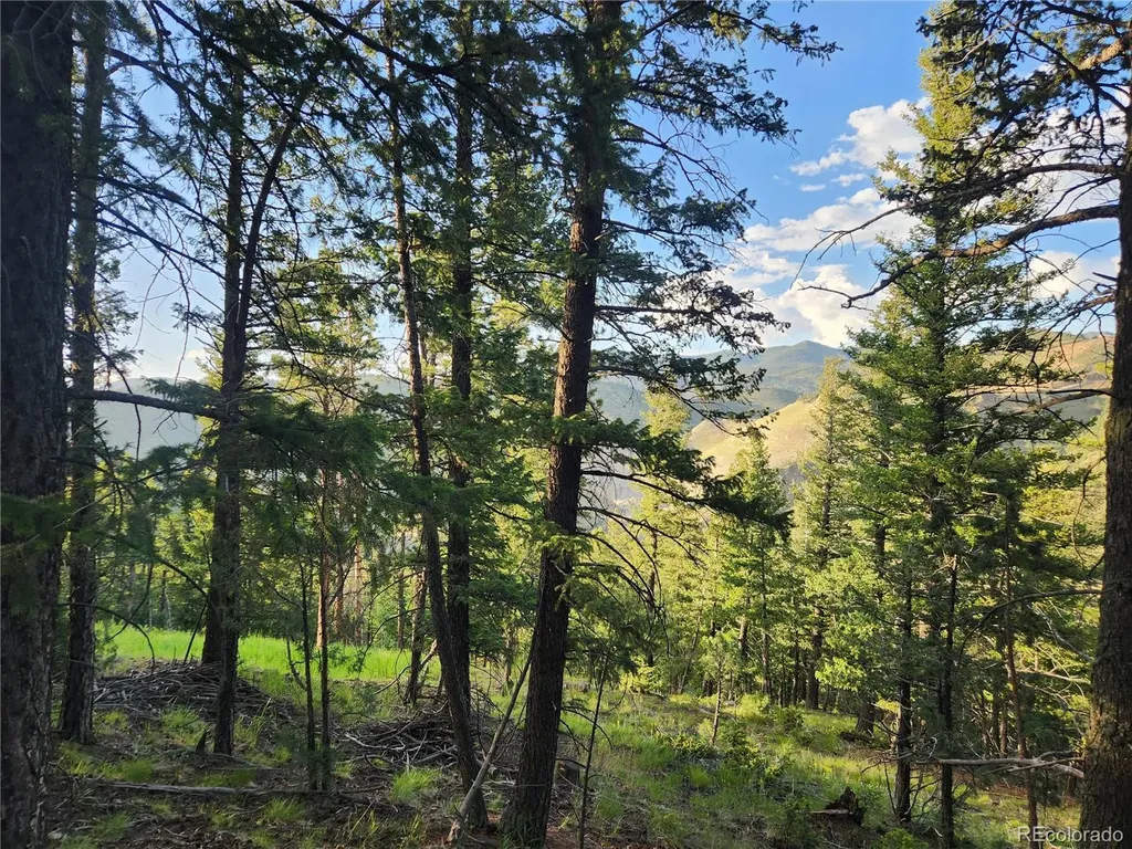 900 Elk Valley Drive Evergreen CO 80439