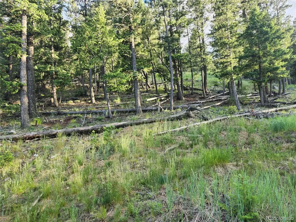 900 Elk Valley Drive Evergreen CO 80439