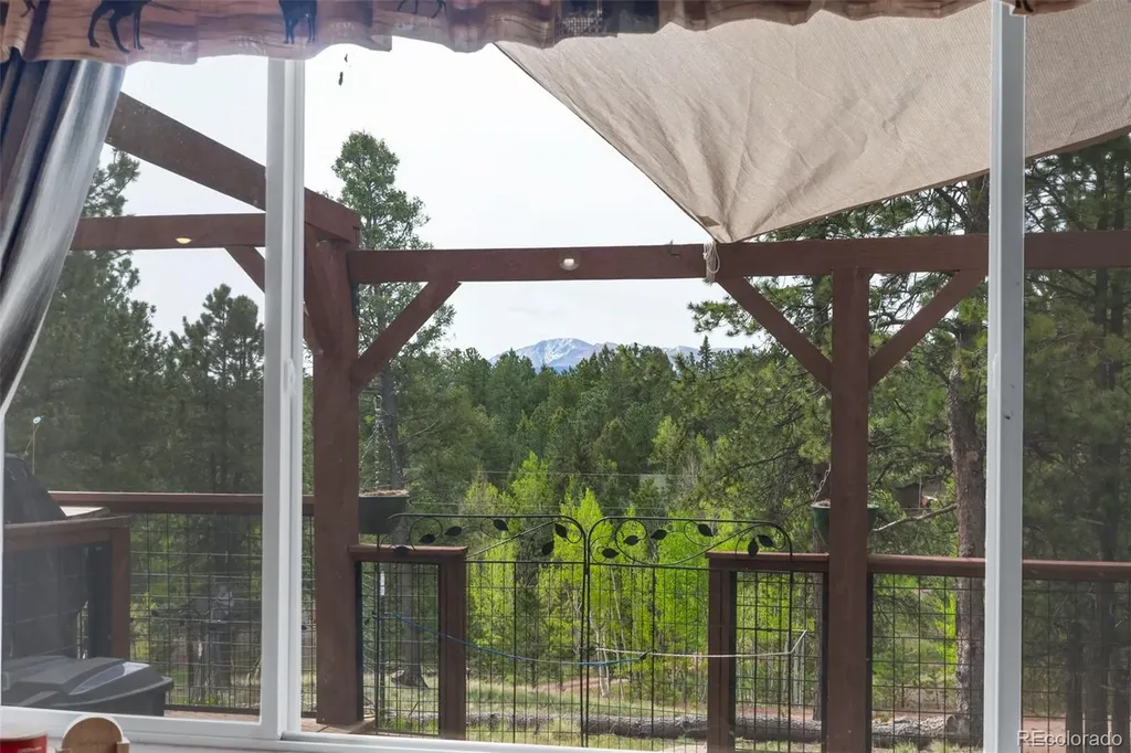126 Aspen Circle Divide CO 80814
