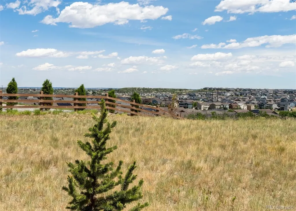 465 Silver Rock Trail Castle Rock CO 80104