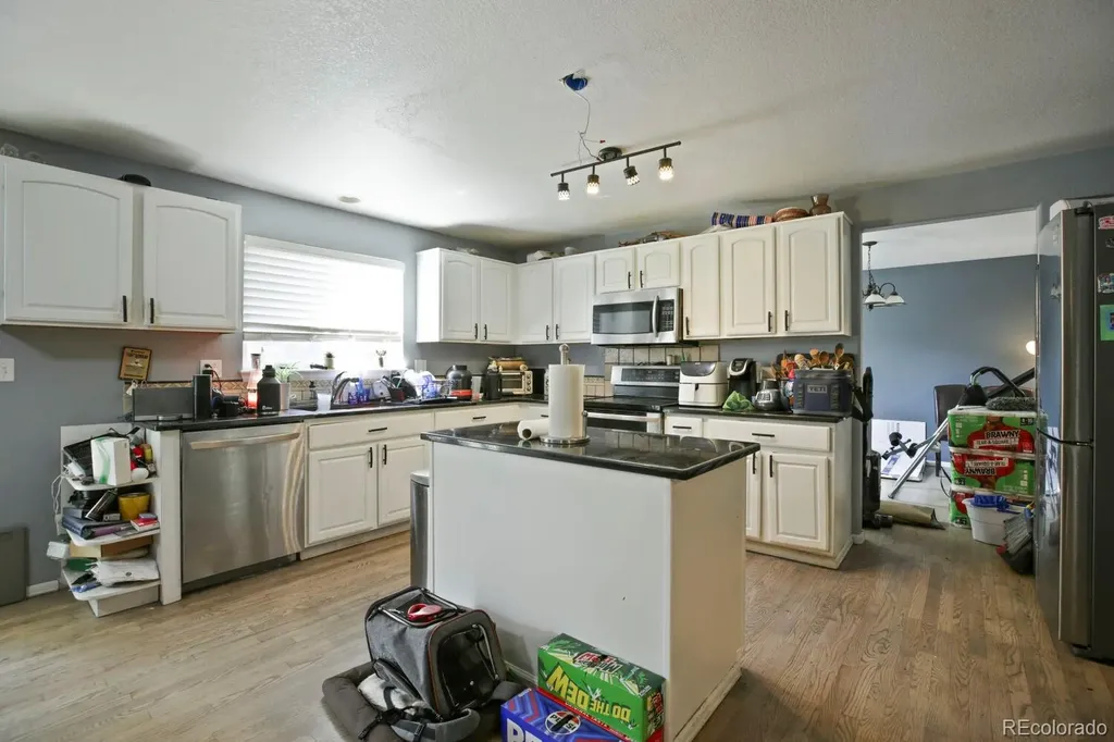 1376 Flannagan Court Erie CO 80516