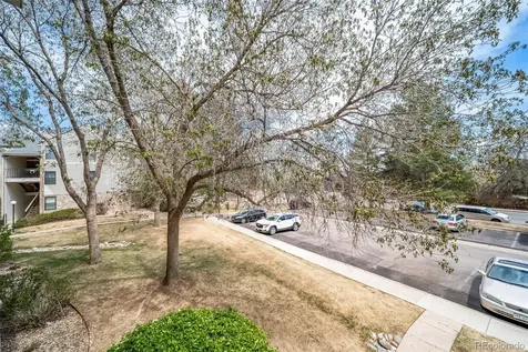 6765 S Field Street Littleton CO 80128