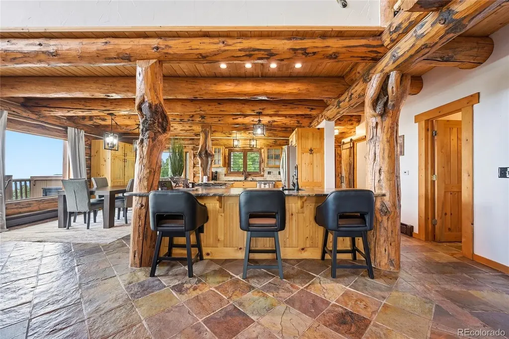 25504 Mountain Moss Court Evergreen CO 80439