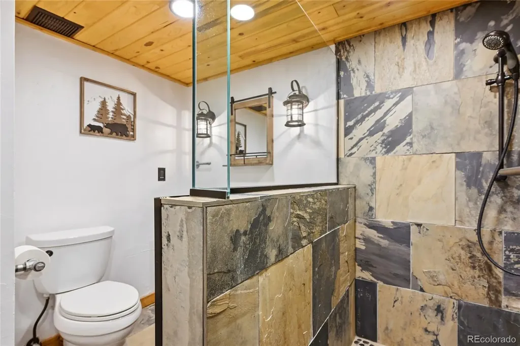 25504 Mountain Moss Court Evergreen CO 80439