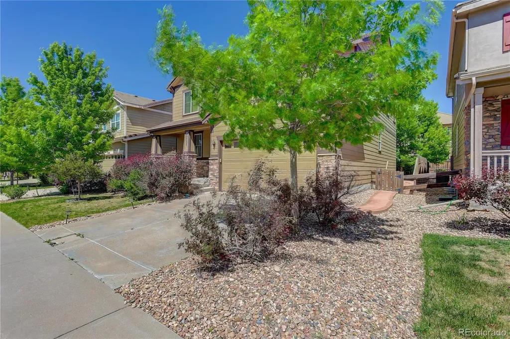 10768 Hillsboro Street Parker CO 80134