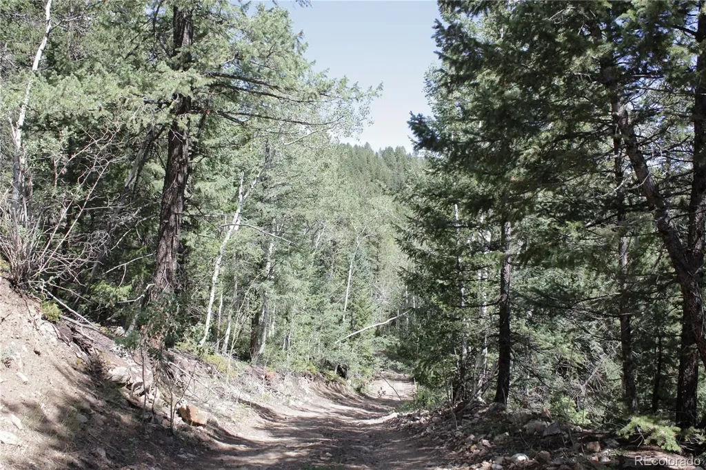 200 Two Brothers Road Idaho Springs CO 80452