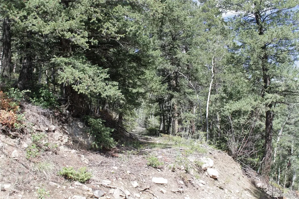 200 Two Brothers Road Idaho Springs CO 80452