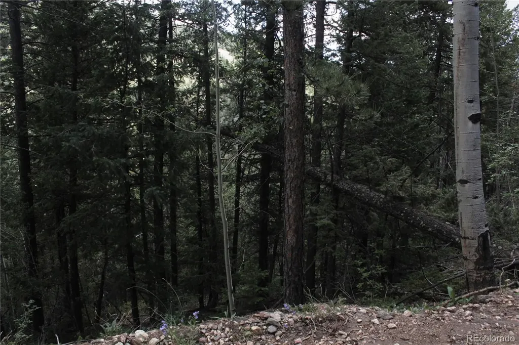 200 Two Brothers Road Idaho Springs CO 80452