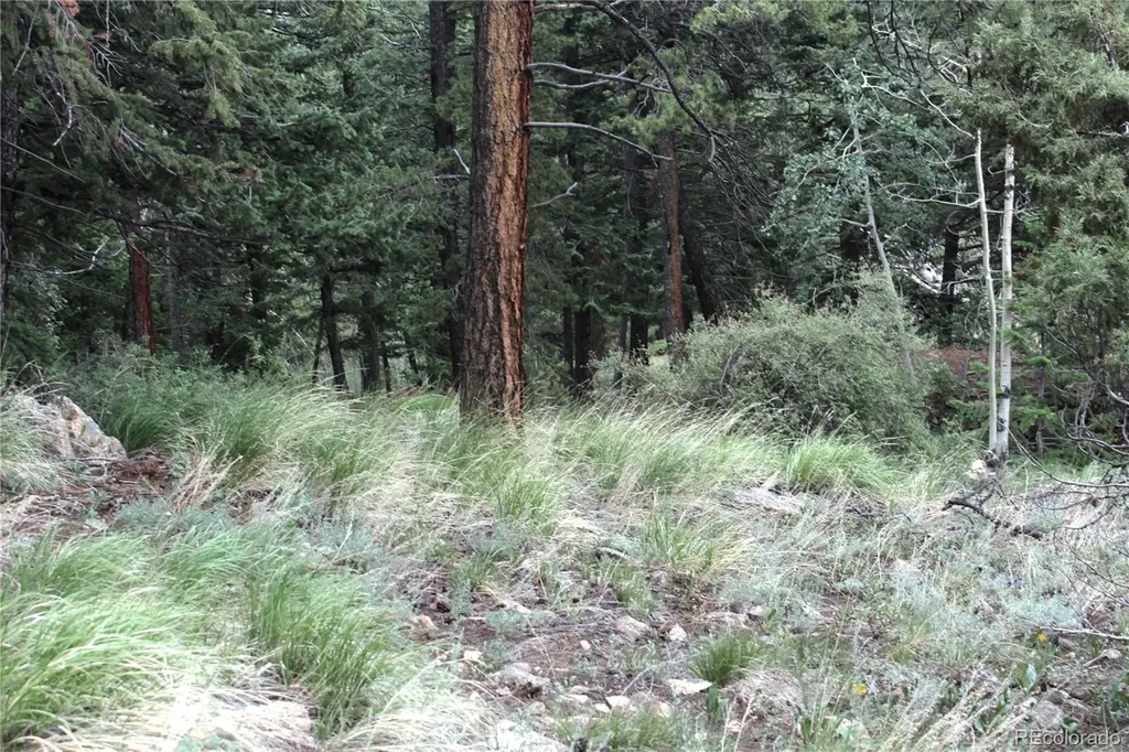 200 Two Brothers Road Idaho Springs CO 80452