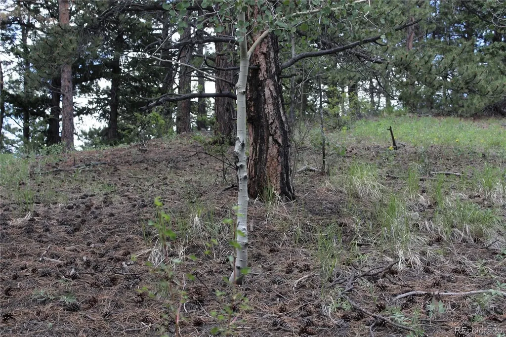 200 Two Brothers Road Idaho Springs CO 80452